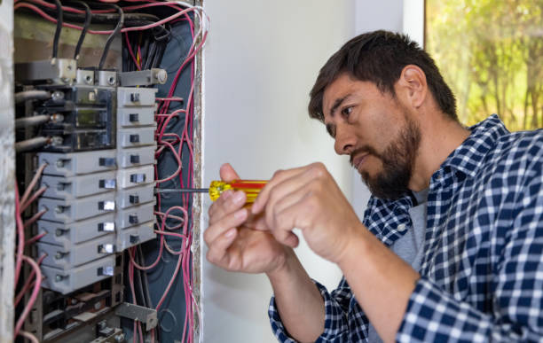 Best Electrical Repair Services  in Carpendale, WV
